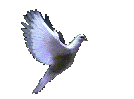 doves.gif (38556 bytes)