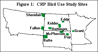 CRP Bird Study Sites