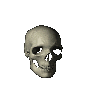 skull.gif (40143 bytes)